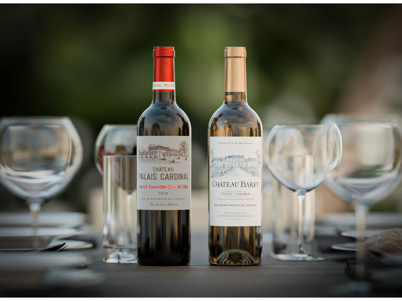 Coffret 2020 Saint-Emilion Grand Cru & Pessac-Léognan Blanc