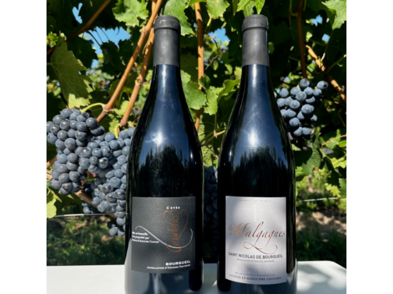 Coffret vin de la Loire 2 bouteilles rouge AOP Bourgueil, Saint Nicolas de Bourgueil