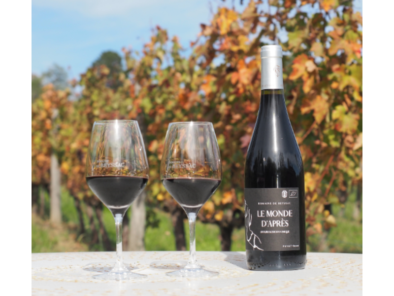 Les Mondes d'Après - 2 bouteilles de vin rouge du Sud Ouest en biodynamie