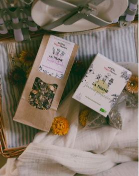 Pack Tisanes Les 4 Saisons de Happy Plantes