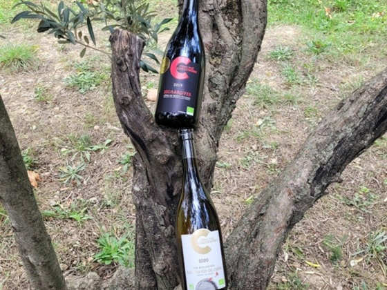 Coffret 2 vins prestige des Coccinelles Côtes du Rhône Bio