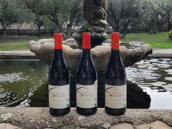 Coffret 3 vins Côtes du Rhône Sans Sulfités ajoutés BIO