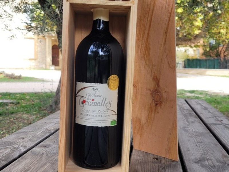 1 bouteille de Magnum Côtes du Rhône Bio