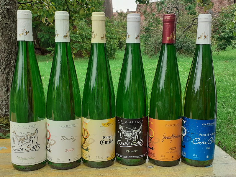 Coffret vin d'Alsace 6 bouteilles de vin blanc AOC Gewurztraminer, Riesling