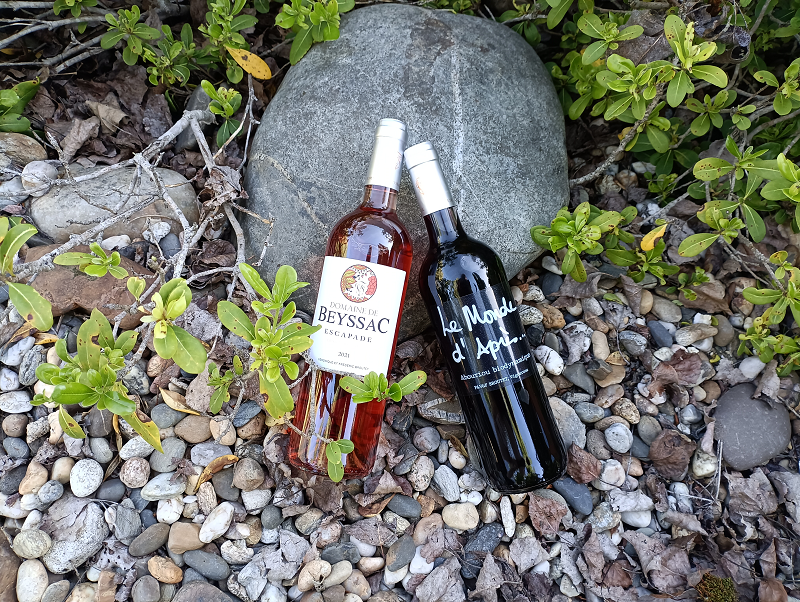 Coffret La biodynamie au coeur du sud ouest 2 bouteilles rouge et rosé AOC Côtes du Marmandais