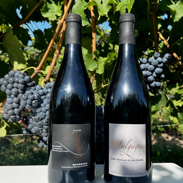 Coffret vin de la Loire 2 bouteilles rouge AOP Bourgueil, Saint Nicolas de Bourgueil