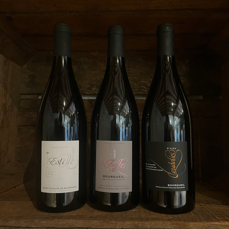Coffret vin de la Loire 1 bouteilles AOC Saint Nicolas de Bourgueil Cuvée Estelle et 2 bouteilles AOC Bourgueil