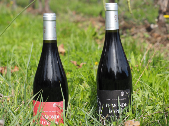 Les Mondes d'Après - 2 bouteilles de vin rouge du Sud Ouest en biodynamie