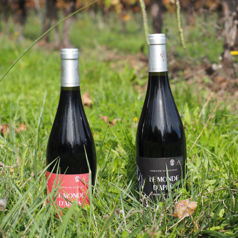 Les Mondes d'Après - 2 bouteilles de vin rouge du Sud Ouest en biodynamie