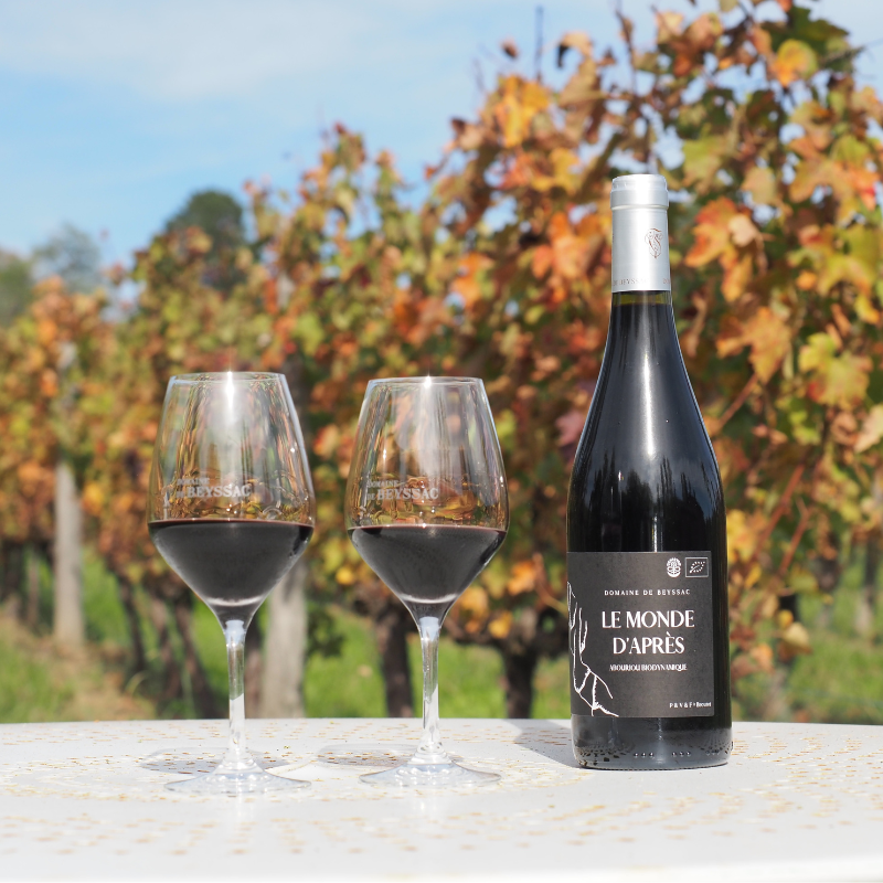 Les Mondes d'Après - 2 bouteilles de vin rouge du Sud Ouest en biodynamie