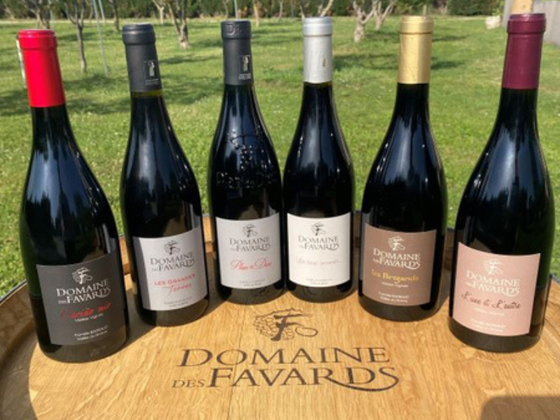Coffret vin du Rhône BIO 6 bouteilles rouge AOC Côtes-du-Rhône, Côtes-du-Rhône Villages