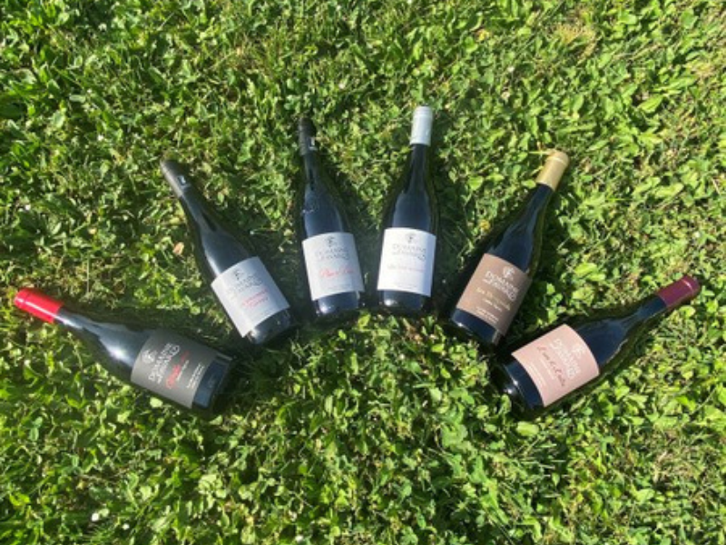 Coffret vin du Rhône BIO 6 bouteilles rouge AOC Côtes-du-Rhône, Côtes-du-Rhône Villages