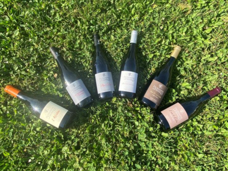 Coffret vin du Rhône BIO 5 bouteilles rouge et 1 bouteille blanc AOC Côtes-du-Rhône, Côtes-du-Rhône Villages