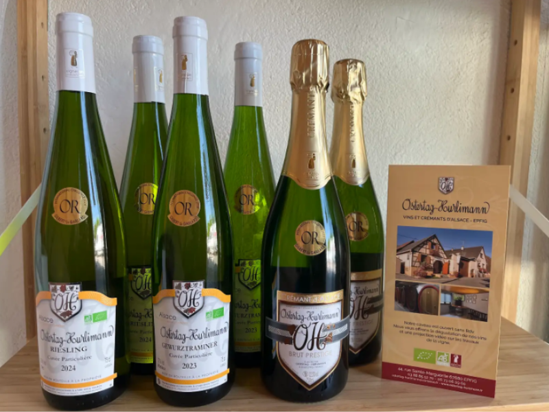 Coffret vin d'Alsace 6 bouteilles blanc et pétaillant AOC Gewurztraminer, Riesling et Crémant