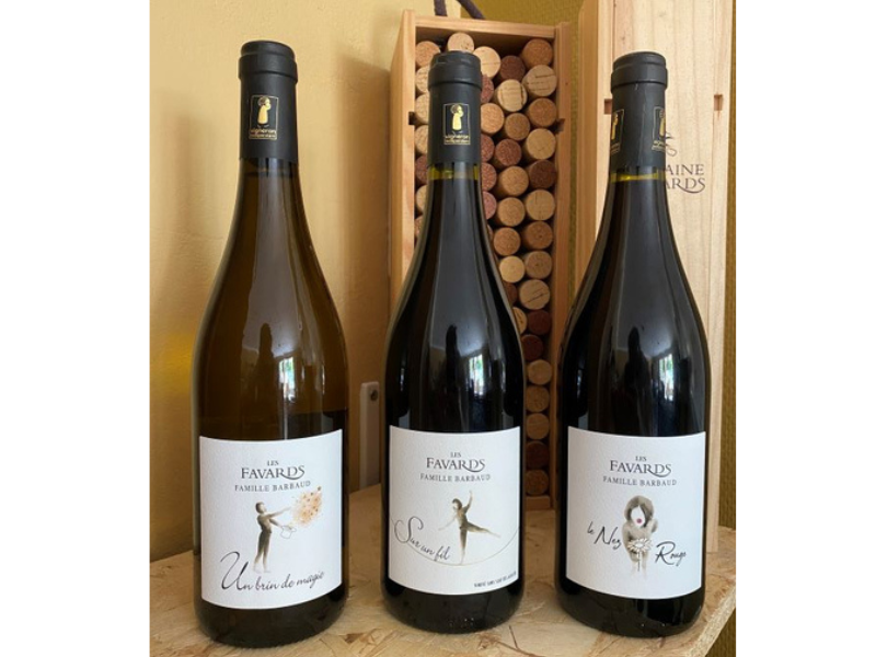 COFFRET VIN DU RHÔNE BIO 3 BOUTEILLES BLANC/ROUGE AOC CÔTES-DU-RHÔNE, CÔTES-DU-RHÔNE VILLAGES
