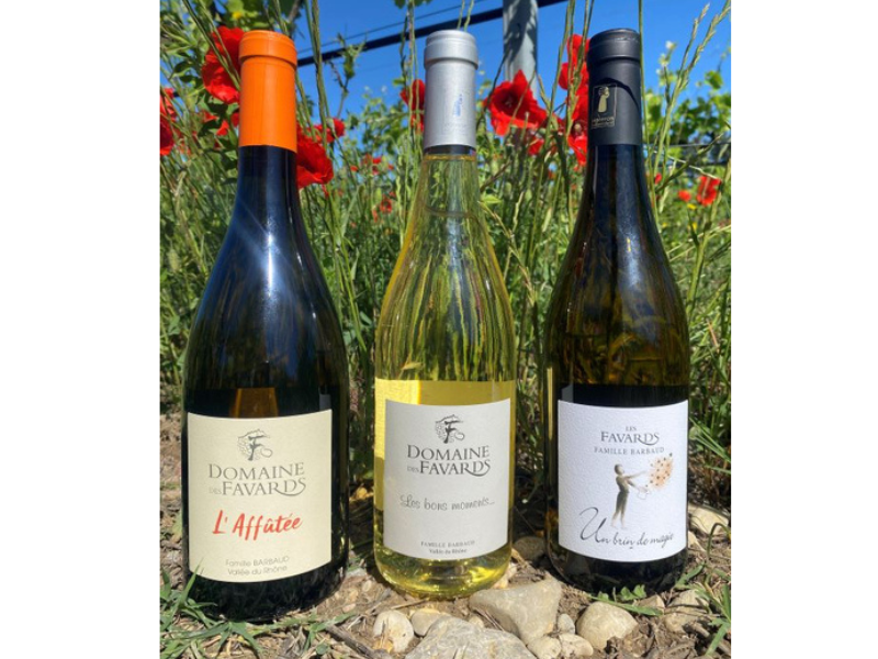COFFRET VIN DU RHÔNE BIO 3 BOUTEILLES BLANC AOC CÔTES-DU-RHÔNE