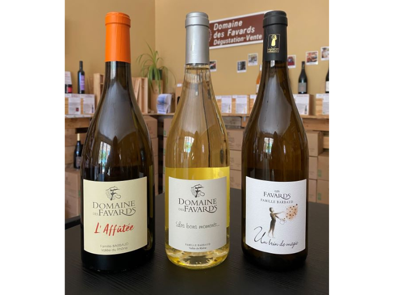 COFFRET VIN DU RHÔNE BIO 3 BOUTEILLES BLANC AOC CÔTES-DU-RHÔNE