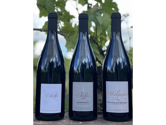 Coffret vin de la Loire 2 bouteilles AOC Saint Nicolas de Bourgueil et 1 bouteille AOC Bourgueil