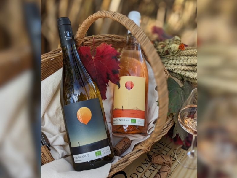 Pinot Noir Rosé - Lune + Vin Orange - Lune