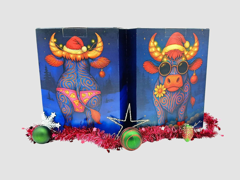 Calendrier de l'Avent Fromagers Meilleur Ouvrier de France