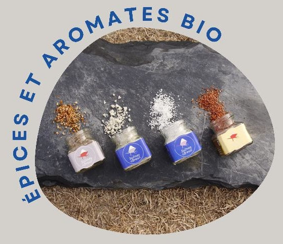 Coffret de Noël Fleur de sel et sel aromatisé