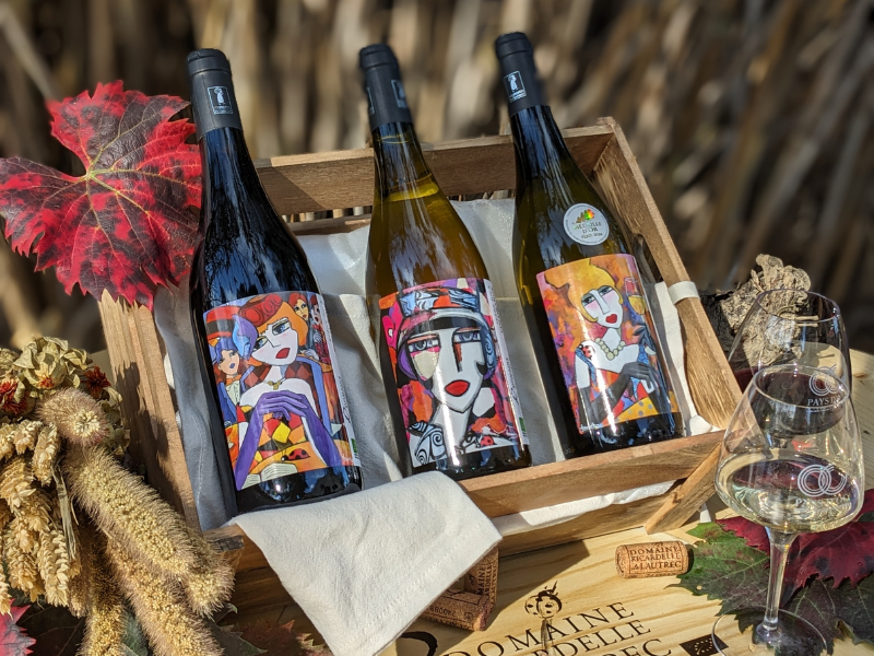 Chardonnay Scène + Pinot Noir Scène + Vin Orange Scène