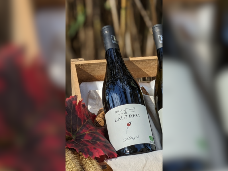 Syrah Nature + Margot + Sauvignon Scène