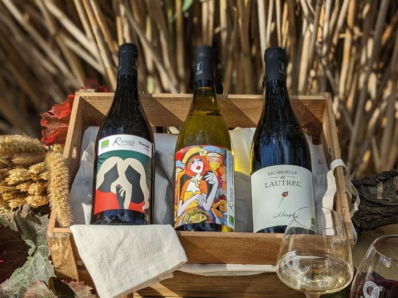 Syrah Nature + Margot + Sauvignon Scène