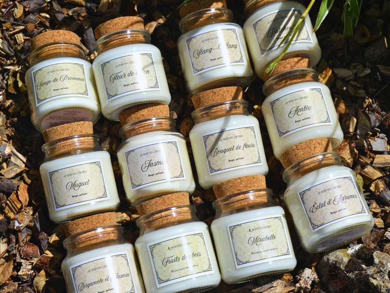 Trio de bougies végétales parfumées