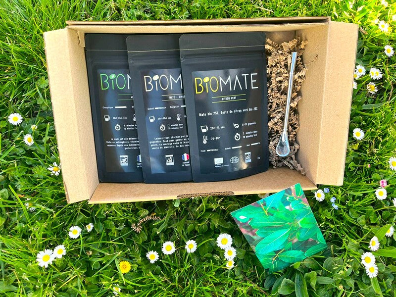 COFFRET VOYAGE MATÉ BIO + PAILLE FILTRANTE OFFERTE (3 SACHETS DE 100G, SAVEURS PERSONNALISABLES)