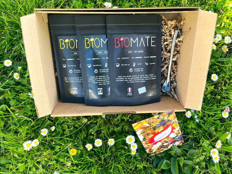 COFFRET VOYAGE MATÉ BIO + PAILLE FILTRANTE OFFERTE (3 SACHETS DE 100G, SAVEURS PERSONNALISABLES)