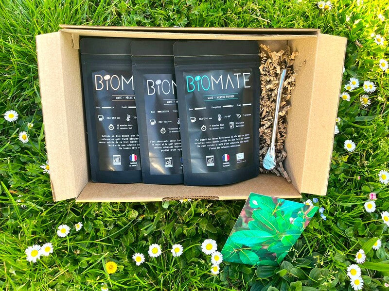 COFFRET VOYAGE MATÉ BIO + PAILLE FILTRANTE OFFERTE (3 SACHETS DE 100G, SAVEURS PERSONNALISABLES)