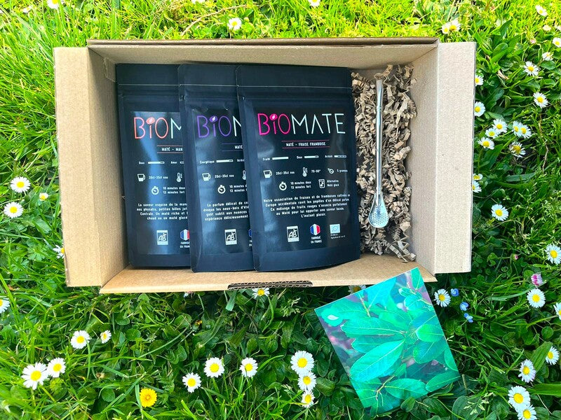 COFFRET VOYAGE MATÉ BIO + PAILLE FILTRANTE OFFERTE (3 SACHETS DE 100G, SAVEURS PERSONNALISABLES)