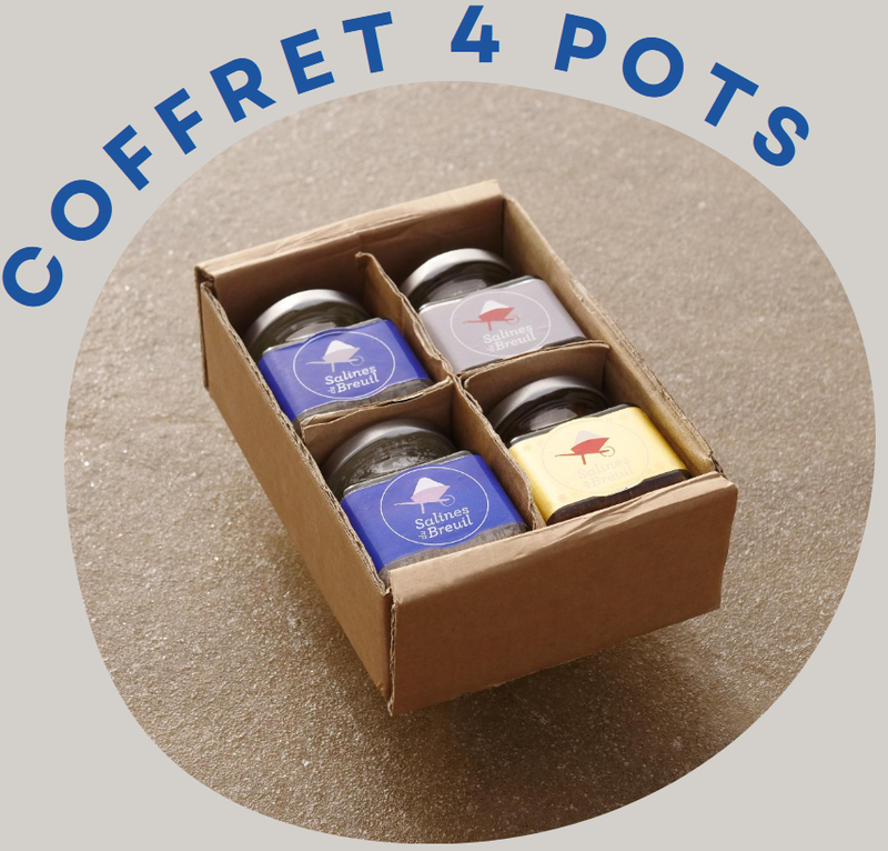 Coffret de Noël Fleur de sel et sel aromatisé