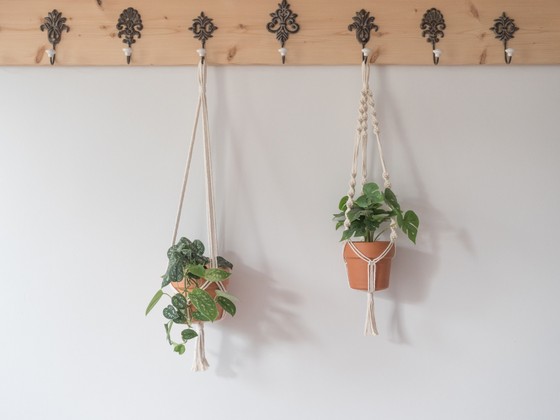 Duo de suspensions pour plantes en macramé