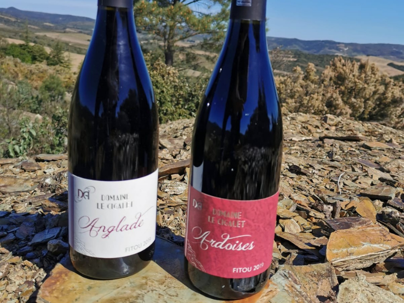 Coffret vin du Languedoc 2 bouteilles rouge AOC Fitou