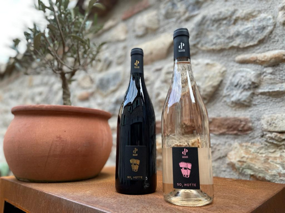 Coffret vin du Roussillon 2 bouteilles de rouge et rosé