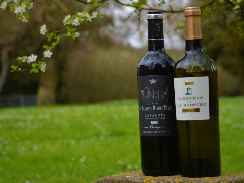 Coffret vin du Sud-Ouest 2 bouteilles rouget et blanc
