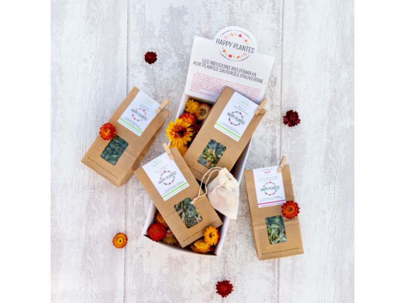Coffret tisane bio, infusions aux plantes sauvages d'Auvergne