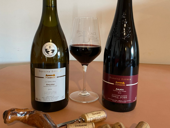 Coffret vin de la Loire 2 bouteilles blanc et rouge AOC Anjou