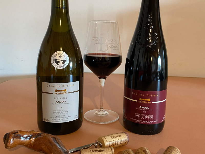 Découverte : Anjou rouge et blanc
