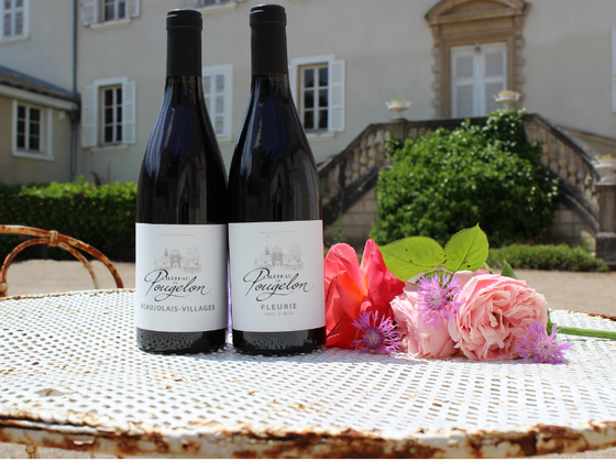 Coffret vin du Beaujolais 2 bouteilles rouge AOC Brouilly, Beaujolais Villages