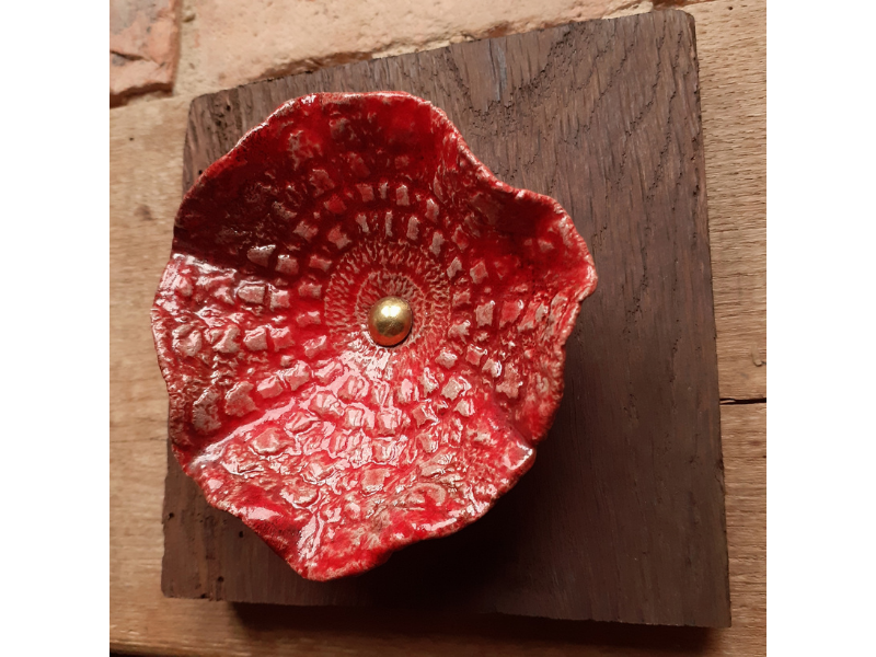 Tableau Le Coquelicot et le Vieux Chêne