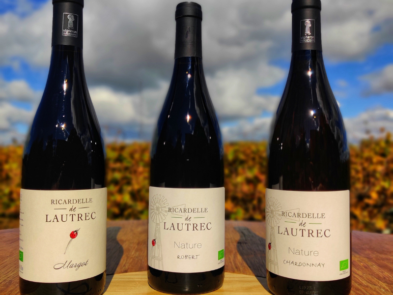 Coffret vin du Languedoc 3 bouteilles BIO rouge et blanc