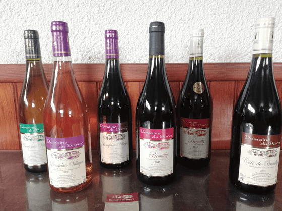 Coffret vin du Beaujolais 6 Bouteilles rouge, blanc et rosé AOC Brouilly, Beaujolais, Beaujolais Villages