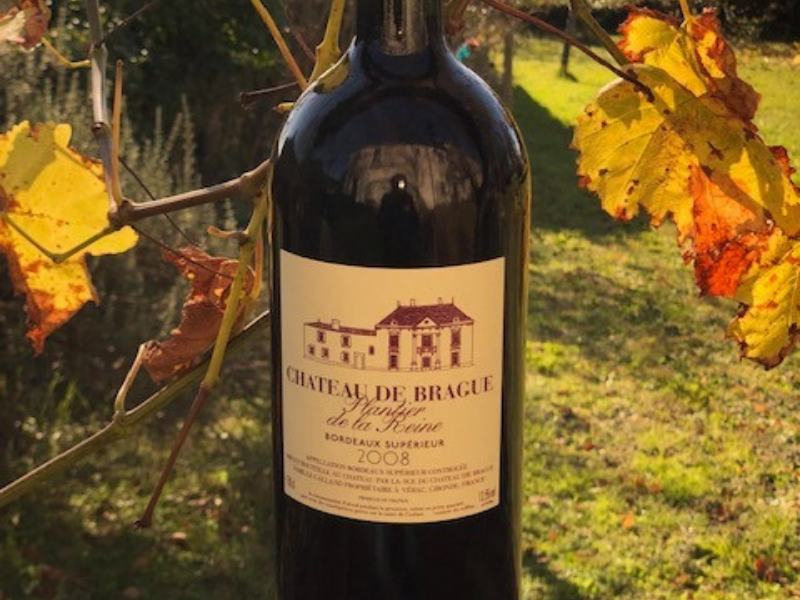 Magnum du Château de Brague : Plantier de la Reine