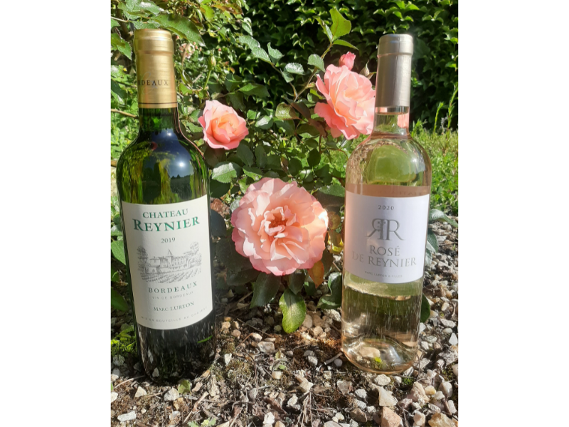 COFFRET DEUX COULEURS ET BIO 2 BOUTEILLES blanc et rosé AOC Bordeaux