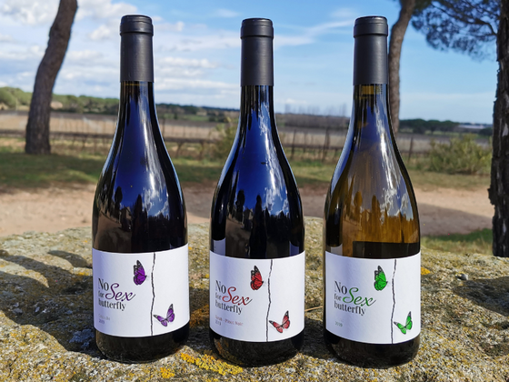 Coffret vin du Languedoc BIO 3 bouteilles rouge et blanc IGP Pays d'Oc