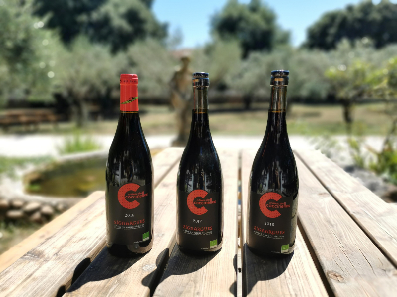 Coffret vin du Rhône 3 bouteilles de vin rouge AOC Côtes-du-Rhône Villages
