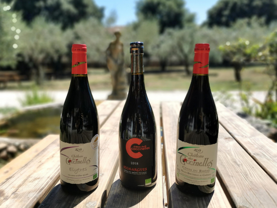 Coffret vin du Rhône 3 bouteilles rouge AOC Côtes-du-Rhône